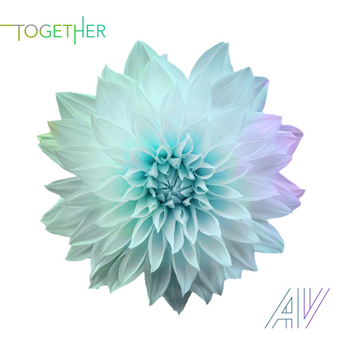 Together (2021 single) by Alek Vila
