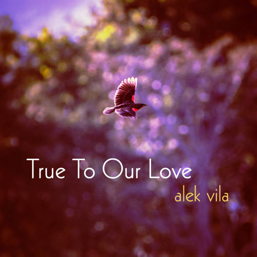 True To Our Love (2023 single) by Alek Vila